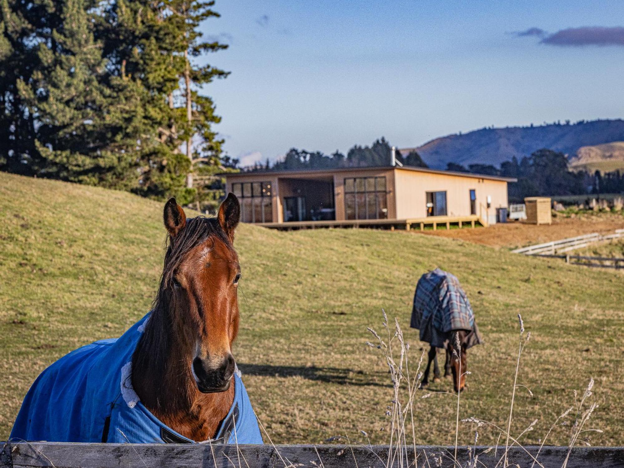 Taylor'S Alpine Retreat - Ohakune Holiday Home Exterior photo