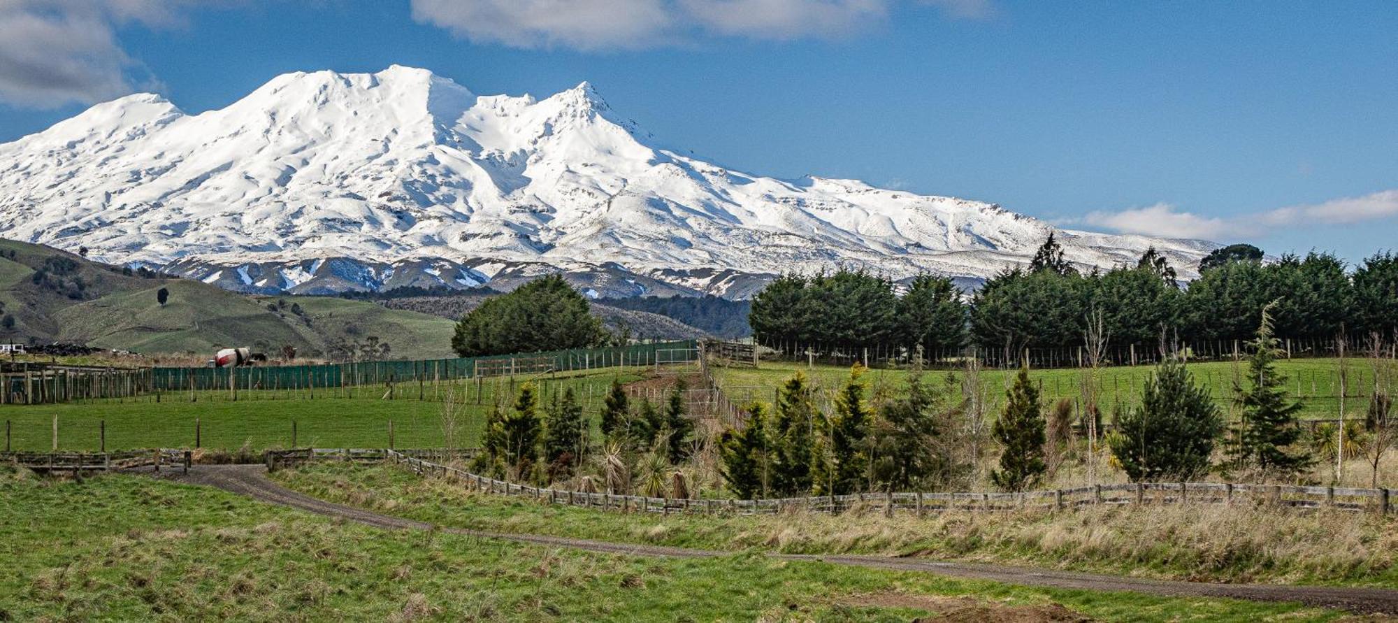 Taylor'S Alpine Retreat - Ohakune Holiday Home Exterior photo